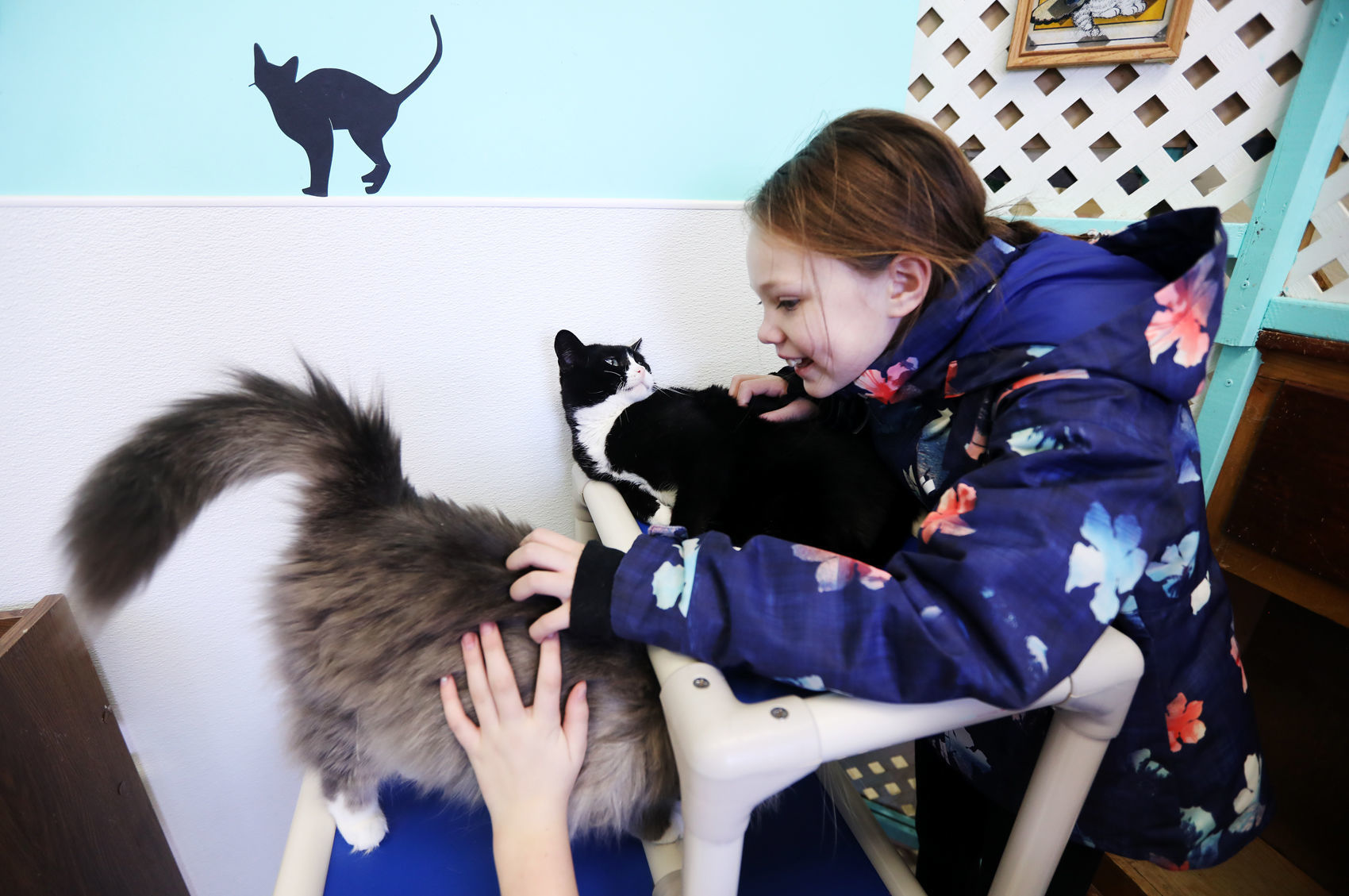 Butte kids bring supplies to Anaconda animal rescue